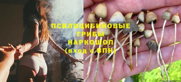 мескалин Алексин