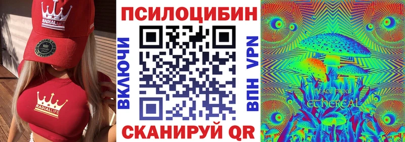 Галлюциногенные грибы GOLDEN TEACHER Болгар