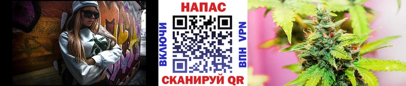 Бошки марихуана индика  площадка формула  Болгар  МЕГА как войти 